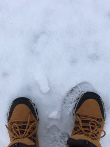 Dagens gå tur i sne