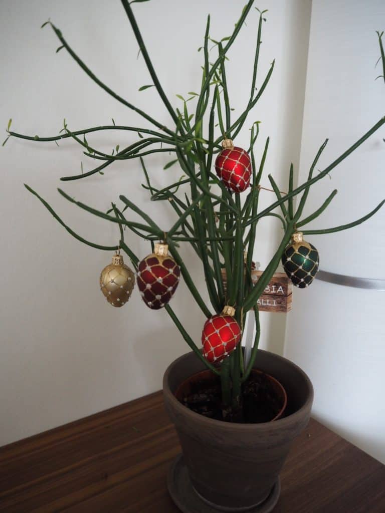 Mine fine nye julekugler på min kaktus