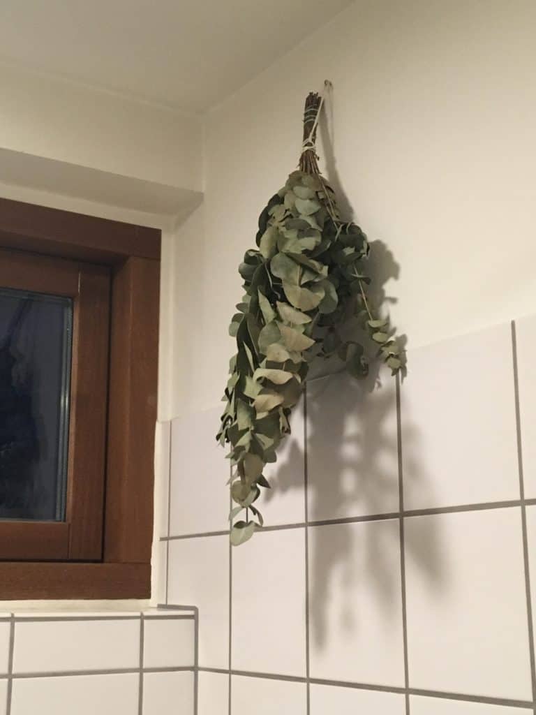 Eucalyptus hænger på badeværelse