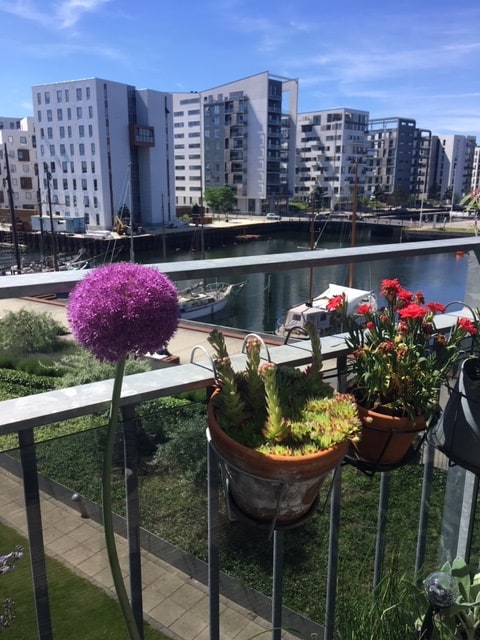 Varm tirsdag, Hus Forbi og terrasseliv