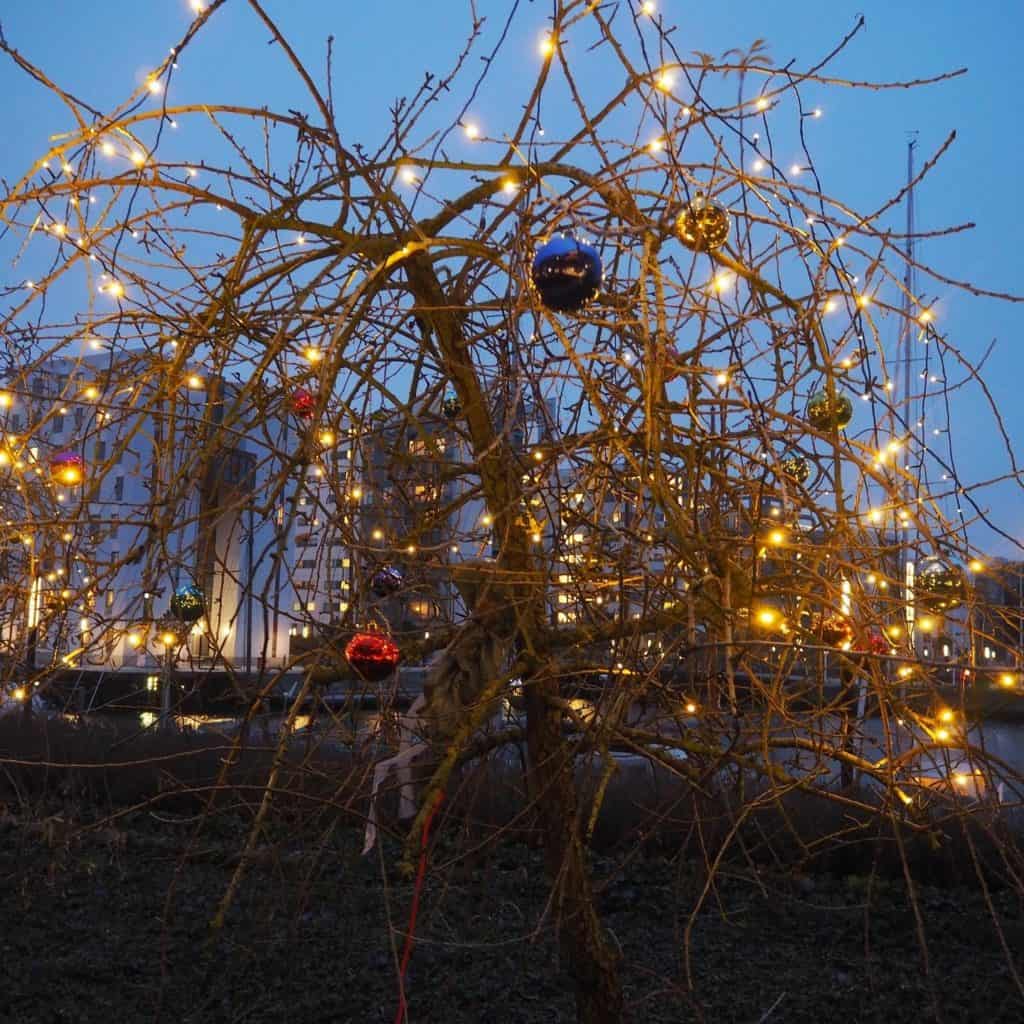 Vi nyder synet af julekuglerne i vores træer