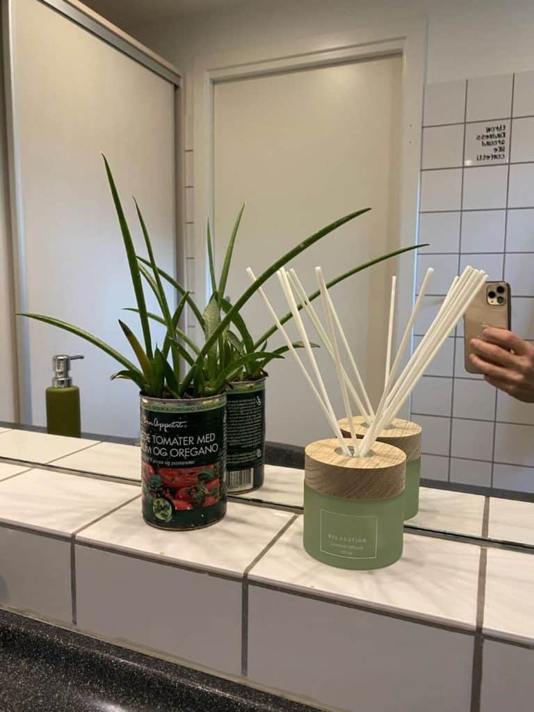 En plante og nogle duftpinde fikser også hurtigt badeværelset op