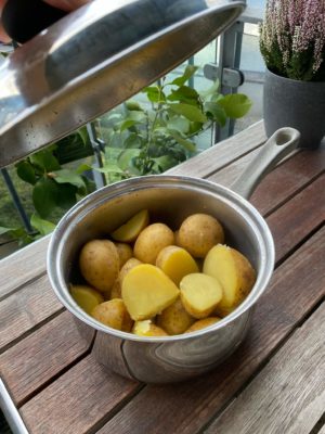 gryde-med-kartofler