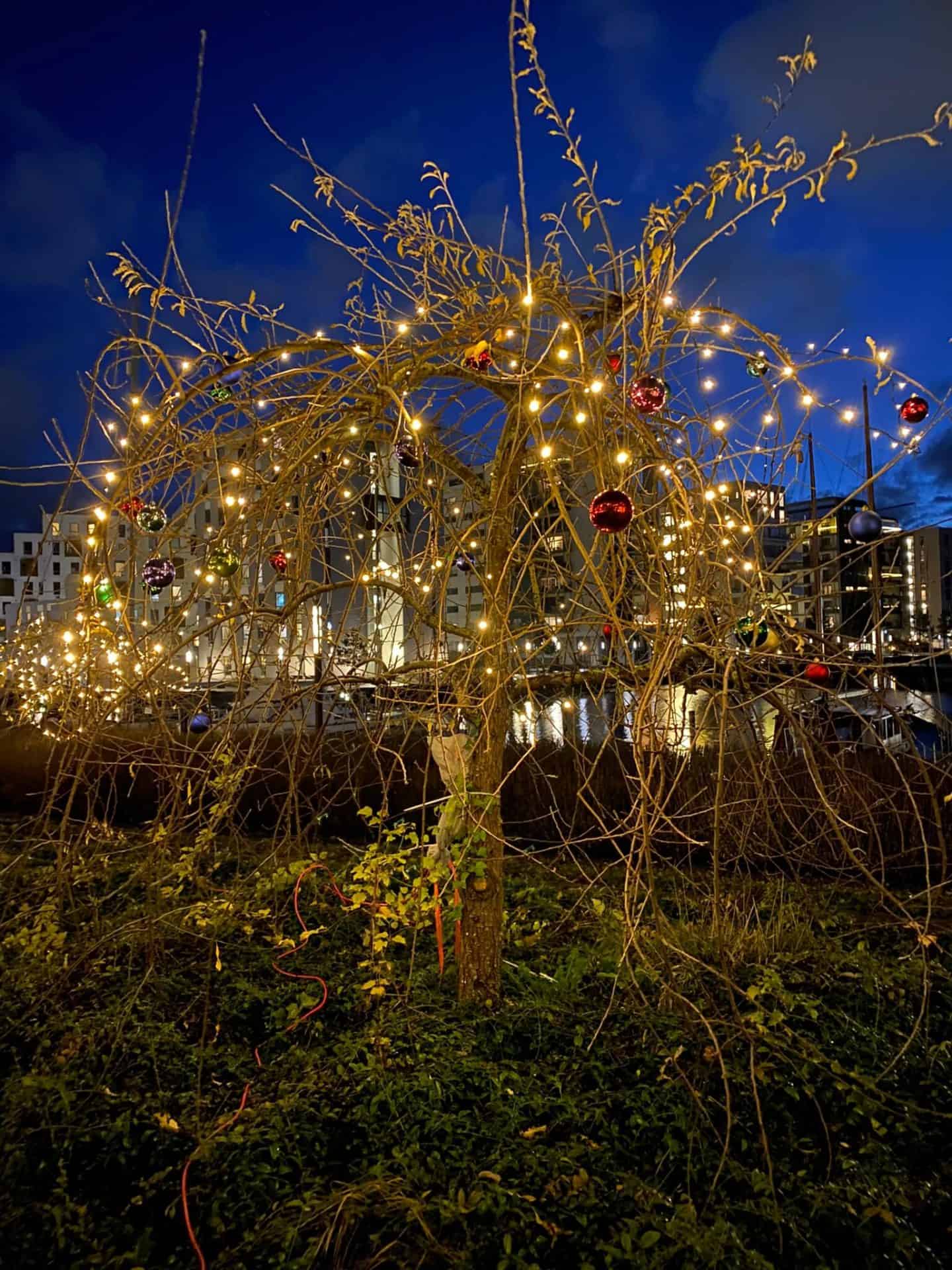 træ med julekugler og lyskæde på Odense havn