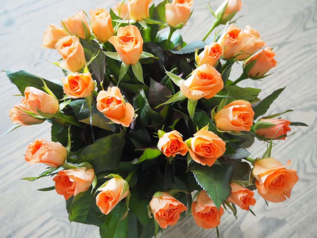 Mine orange roser