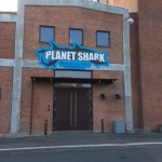 Planet Shark indgang