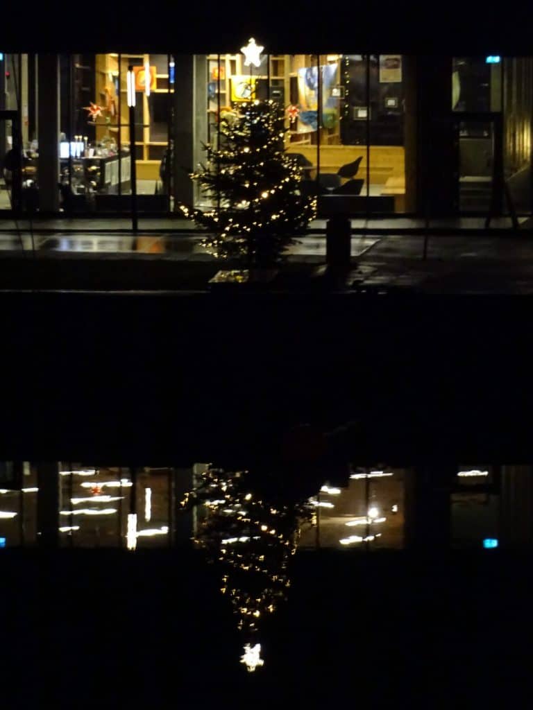 Juletræ ved Nordatlatisk Hus
