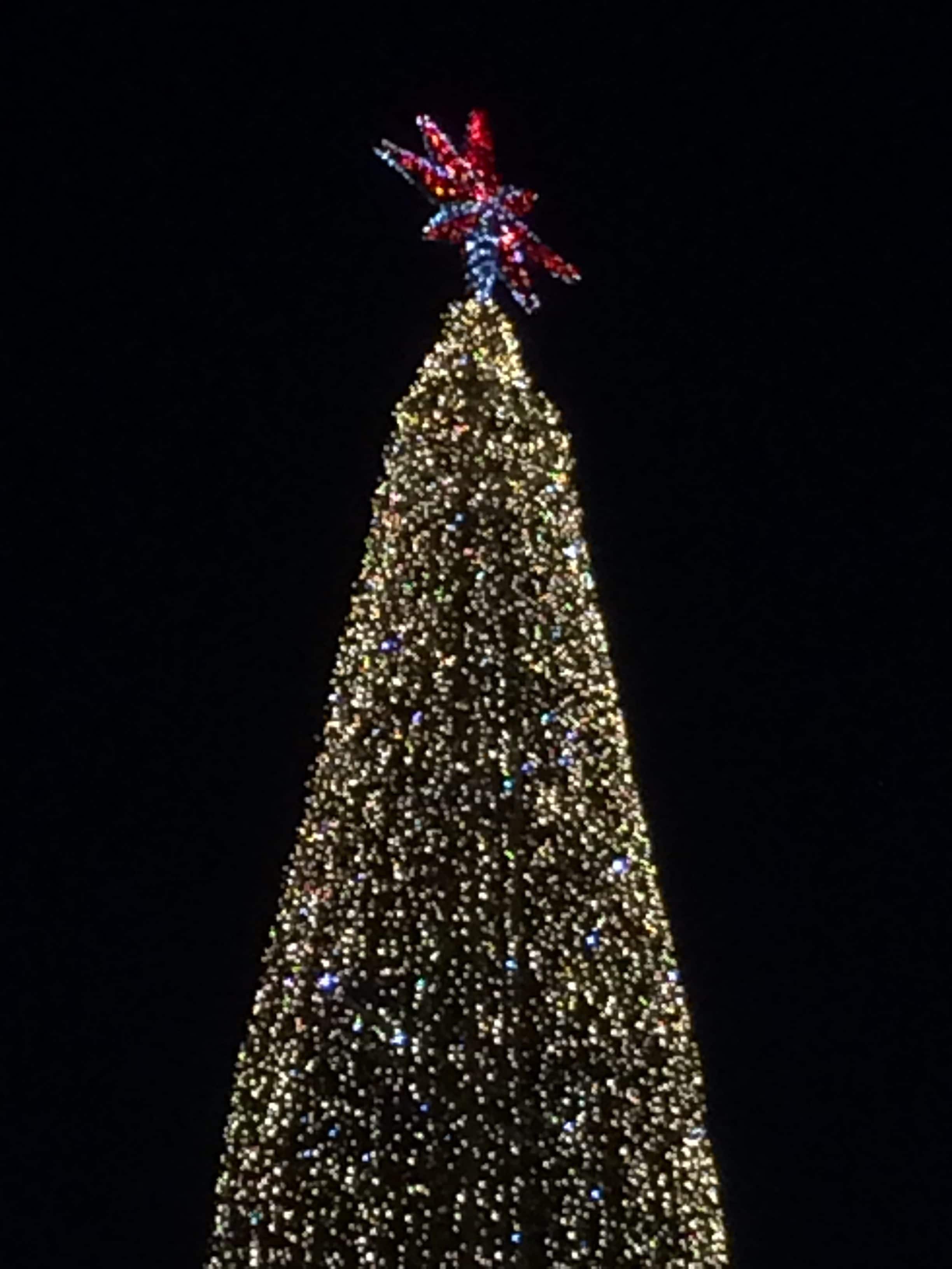Rød stjerne i toppen af det store juletræ
