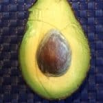 avocado med sten